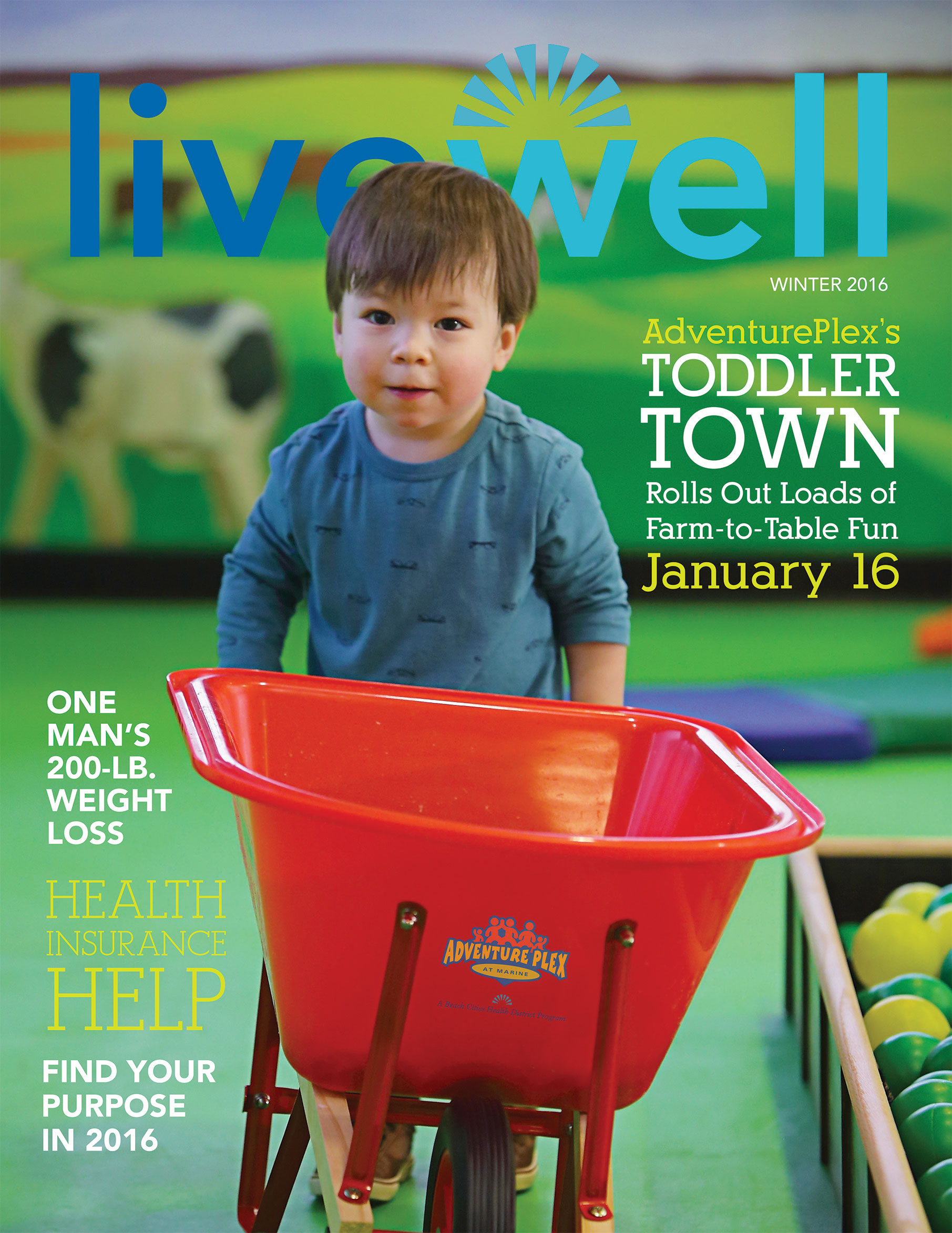 Cover of 2016 Winter LiveWell Publication