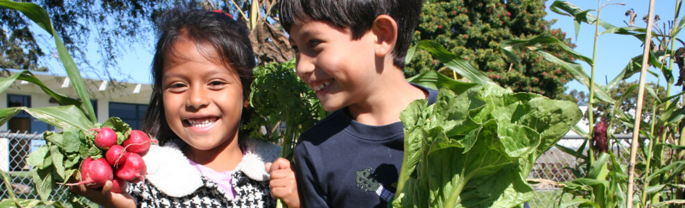 Two smiling children in a garden. One is holding a bunch of radishes and the other is holding a head of lettuce.